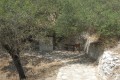 salamiou-nature-trail