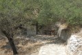 Salamiou Village, Paphos, Cyprus