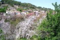 Treis Elies Village, Limassol, Cyprus