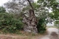 Arminou Village, Paphos, Cyprus